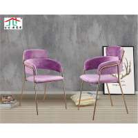 2020 Velvet seat Dining Room Chair Comfortable seat